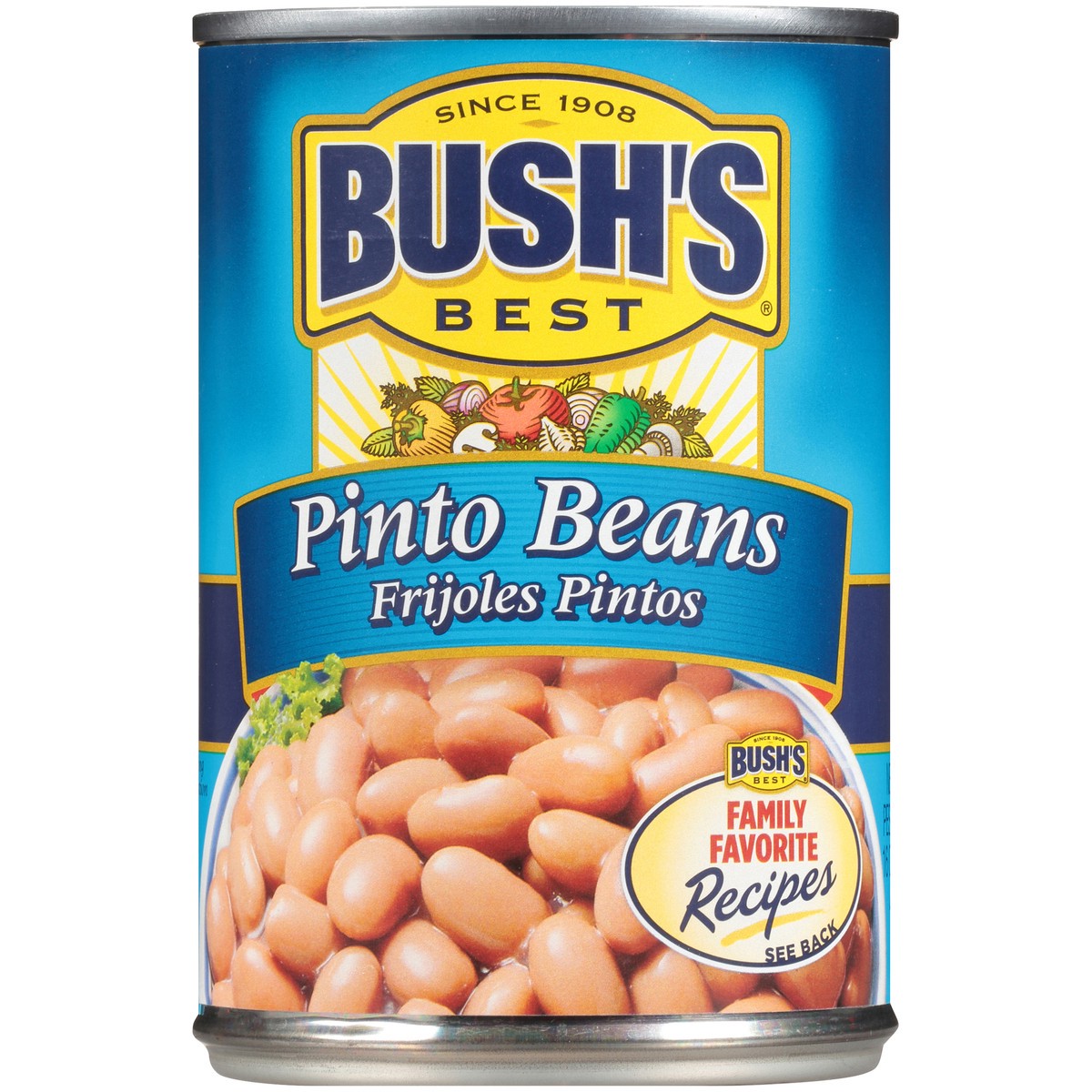 slide 3 of 12, Bush's Best Bush's Pinto Beans 16 oz, 16 oz