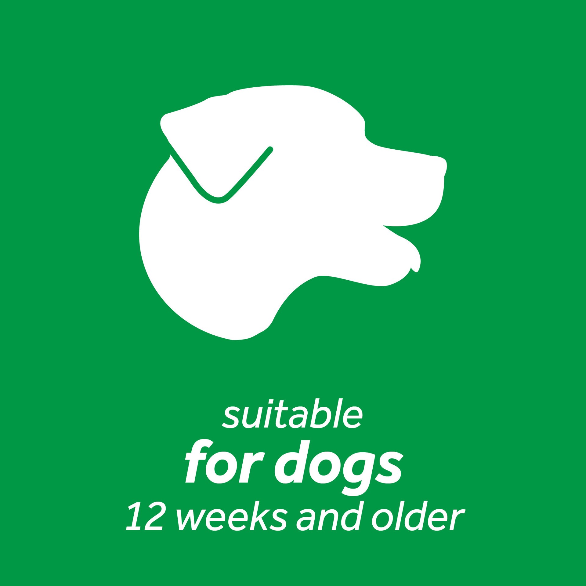 slide 4 of 5, TropiClean Fresh Breath Plaque & Tartar Control Kit for Small & Medium Dogs, 2 oz