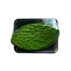 Cactus Leaf Tray