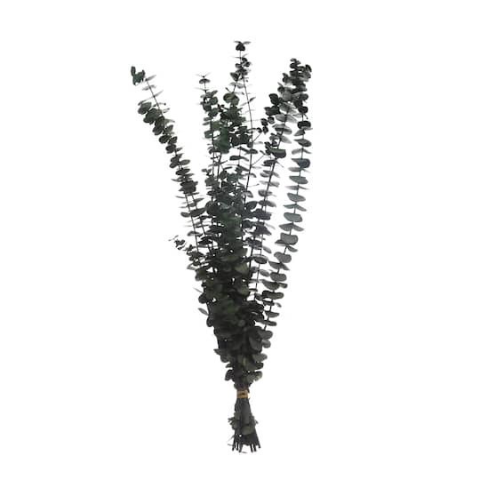 slide 1 of 2, Dark Green Dried Eucalyptus Bundle By Ashland, 9 in x 2 in x 24 in