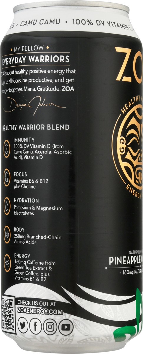 slide 6 of 12, Zoa Pineapple Coconut, 16 oz