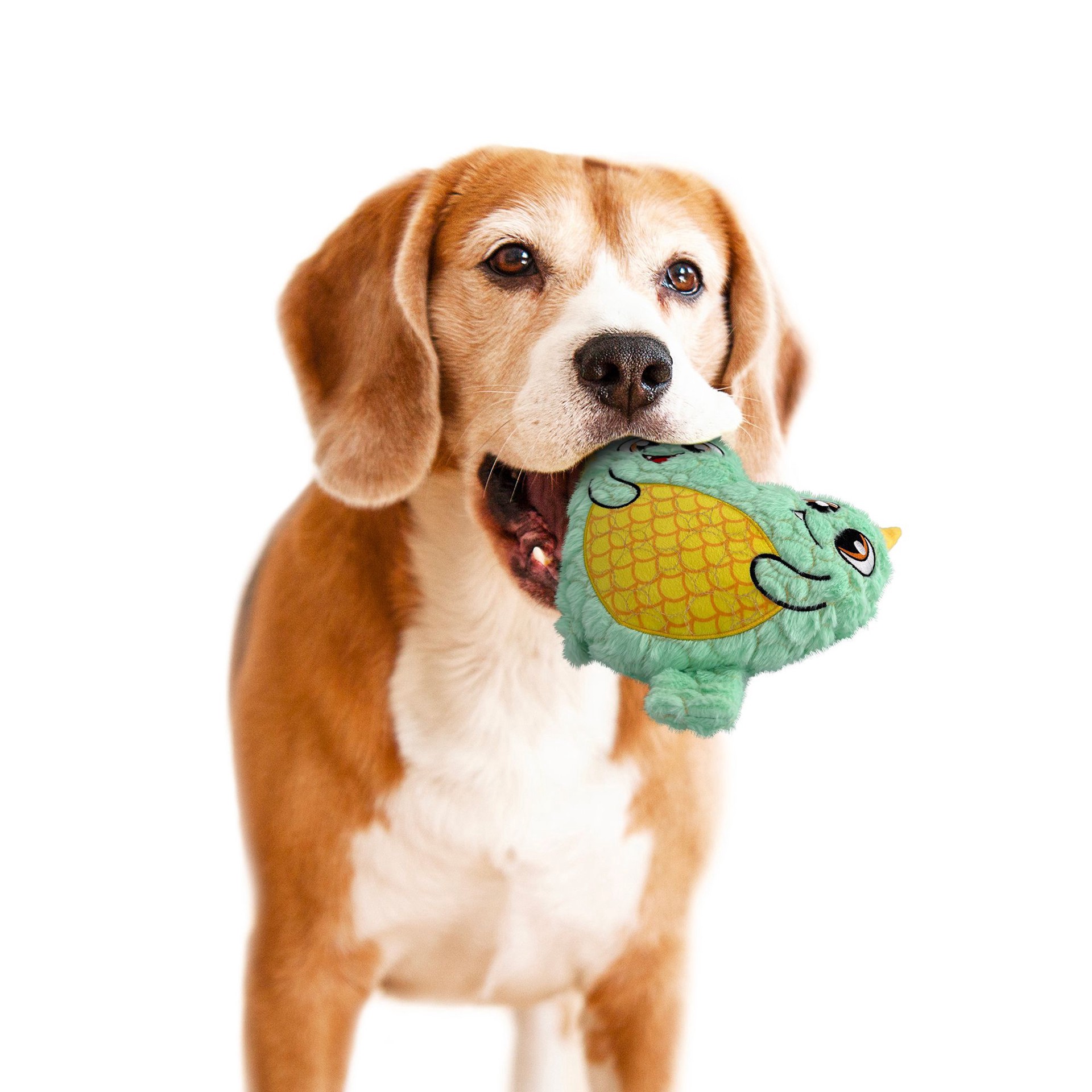 slide 1 of 1, Gmason Double Monster Squeaker Crinkle Plush Dog Toy, MED
