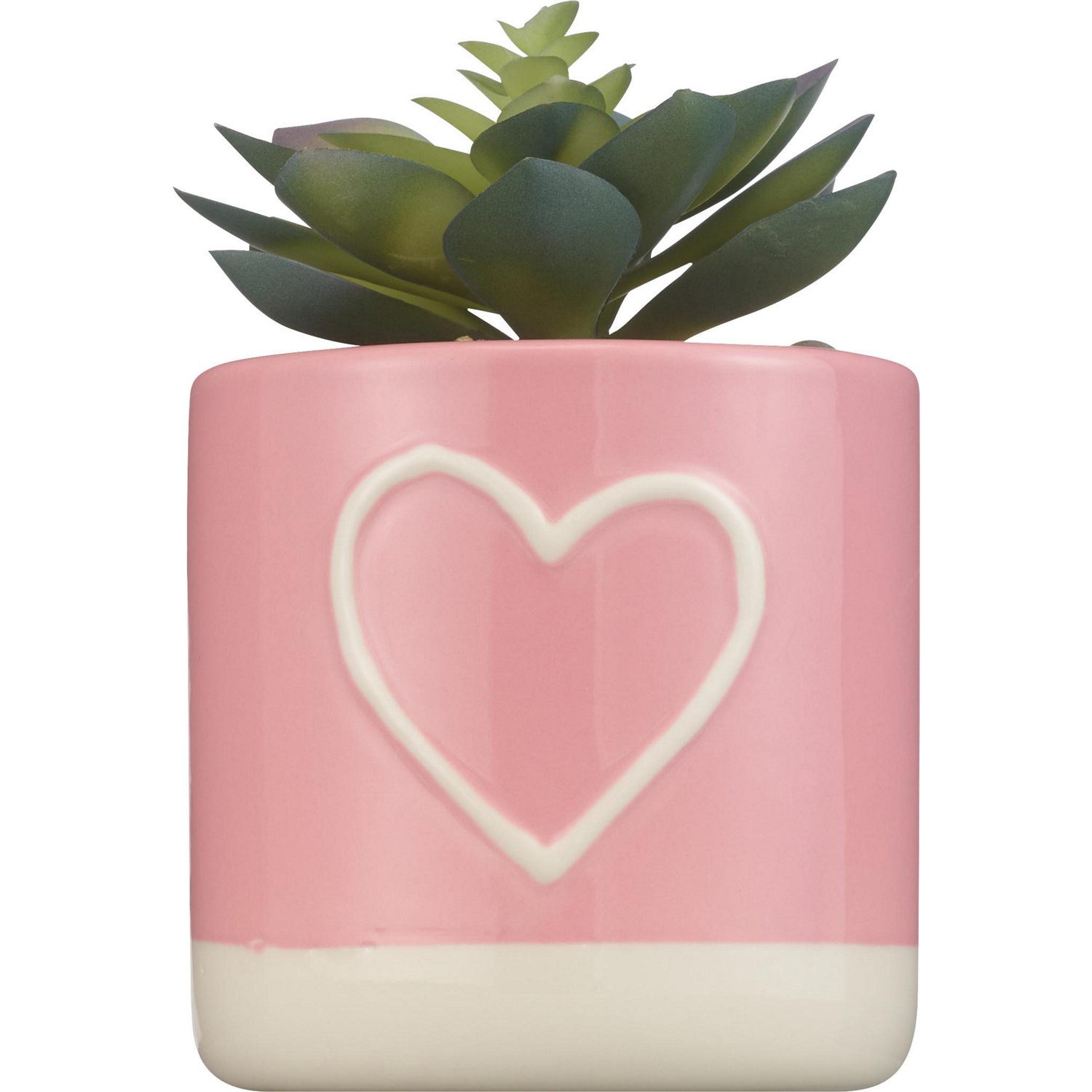 slide 2 of 3, RED AND PINK Succulents, 1 ct