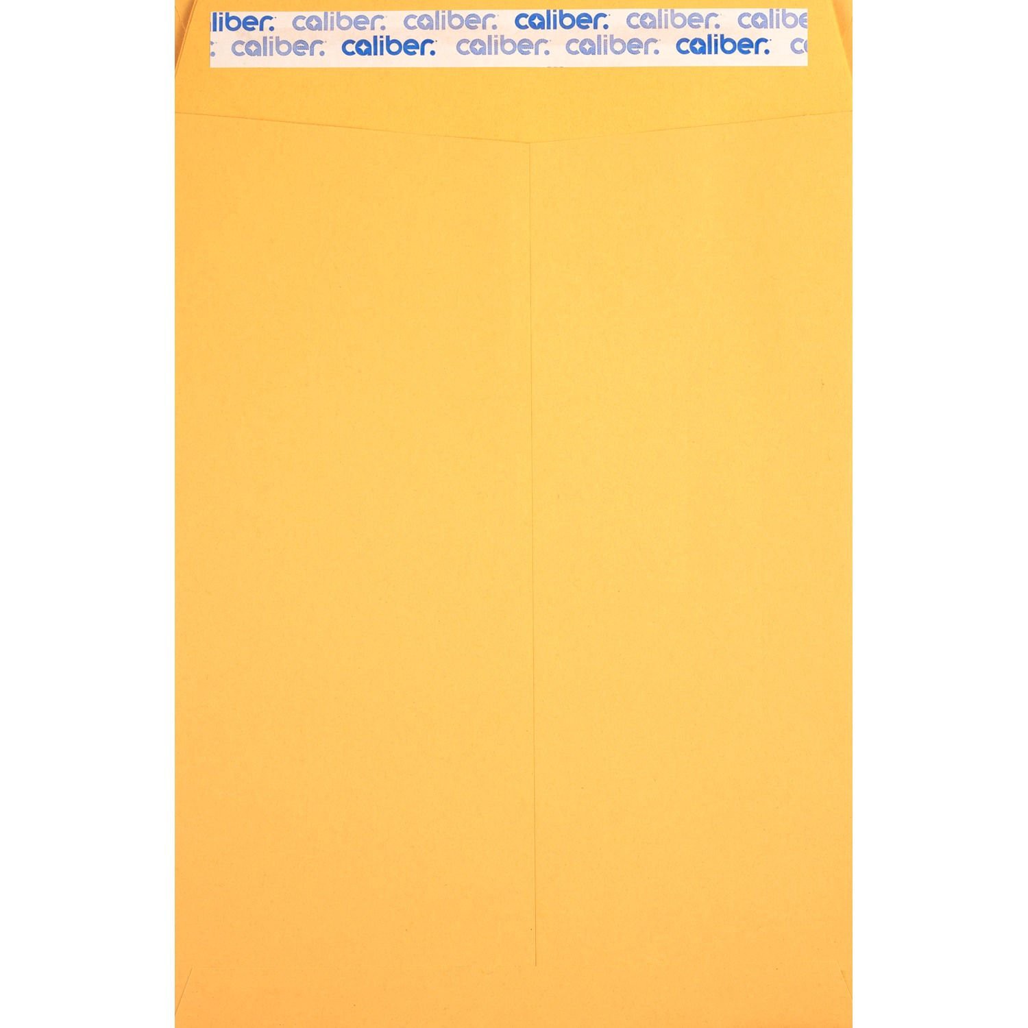 slide 2 of 2, Caliber Press & Seal Envelopes 9 X 12 Inch, 1 ct