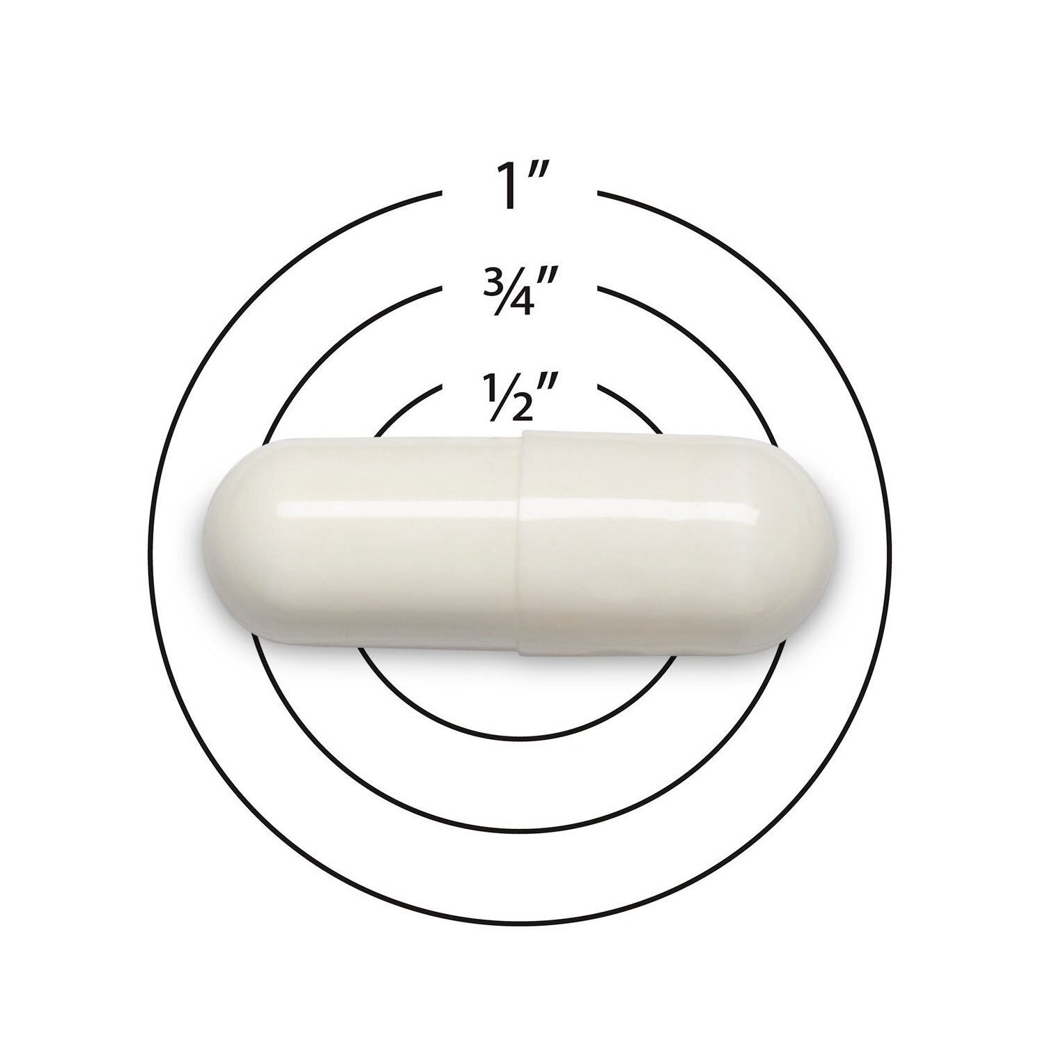 slide 5 of 6, CVS Health Daily Probiotic, 60 Ct, 60 ct