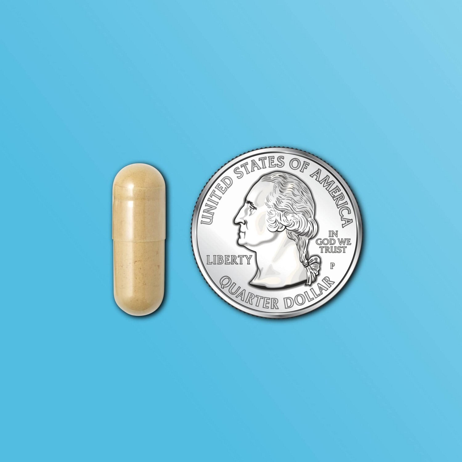 slide 5 of 9, CVS Health Milk Thistle Capsules, 200 Ct, 1 ct