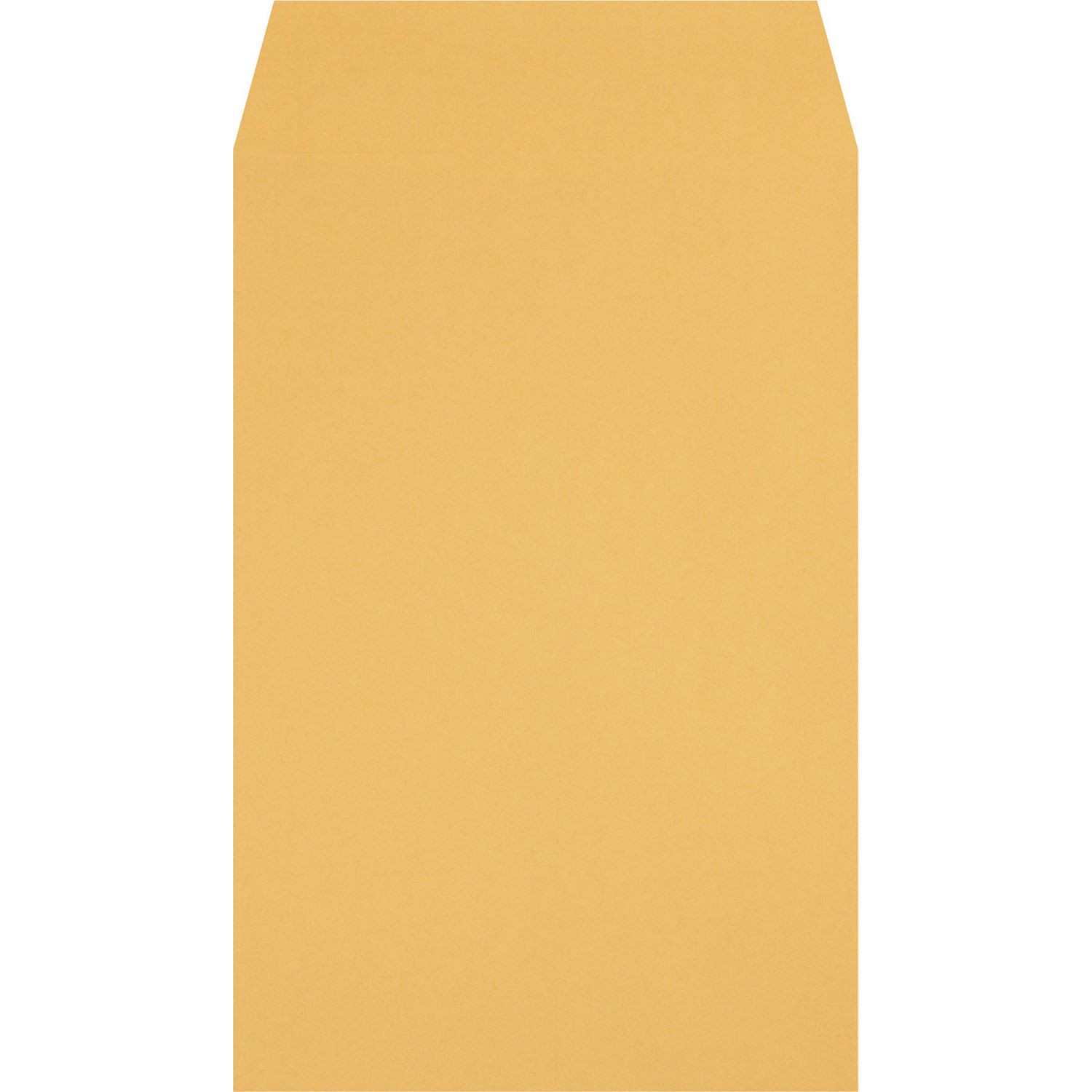 slide 3 of 3, Caliber Press & Seal Envelopes 6 X 9 Inch, 30 ct