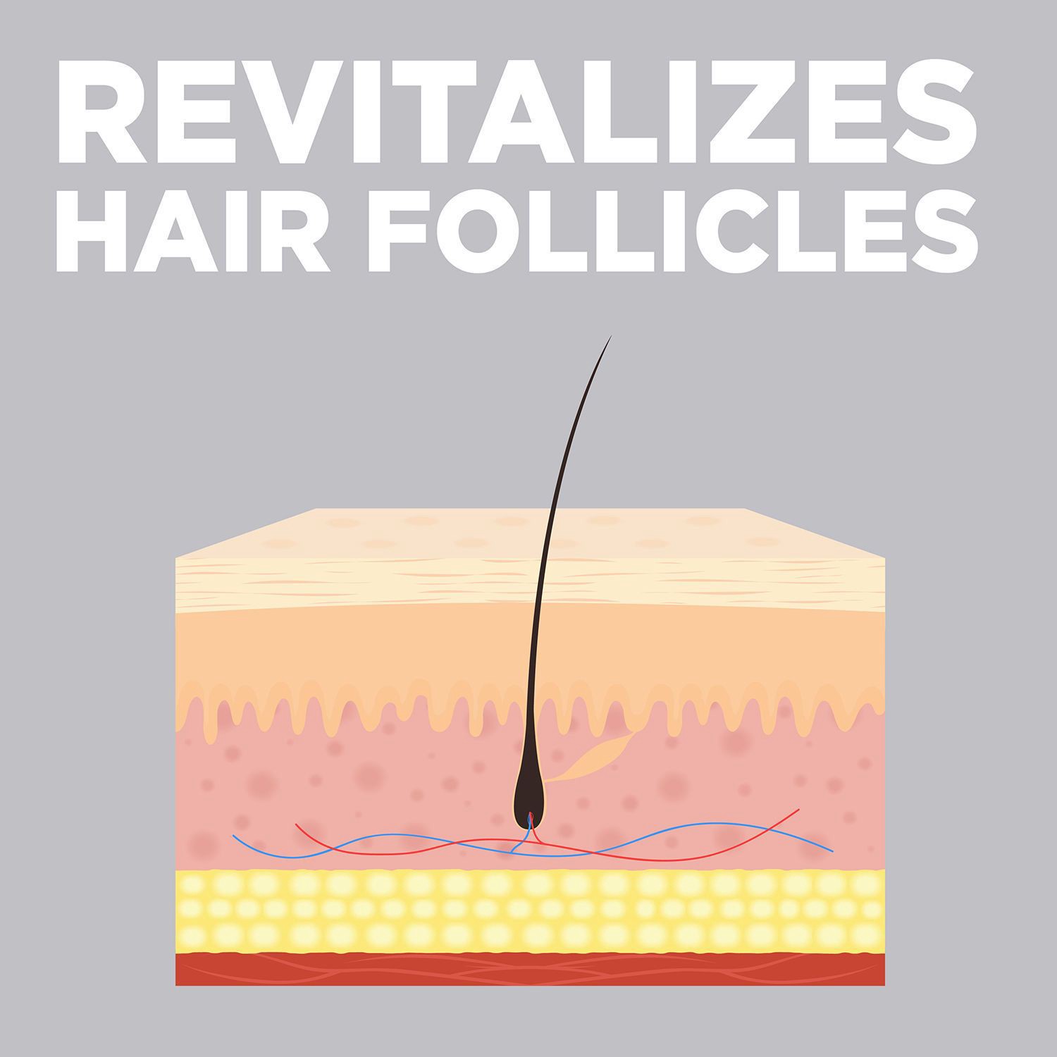 slide 2 of 10, CVS Health Women's 5% Minoxidil Foam For Hair Regrowth, 2 Month Supply, 1 ct