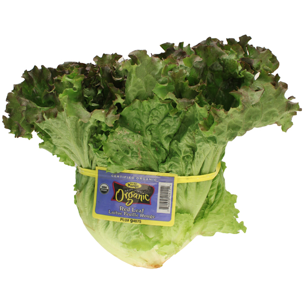 slide 1 of 1, Organic Red Leaf Lettuce, 1 lb