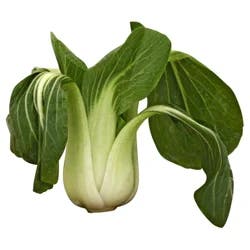 Organic Bok Choy