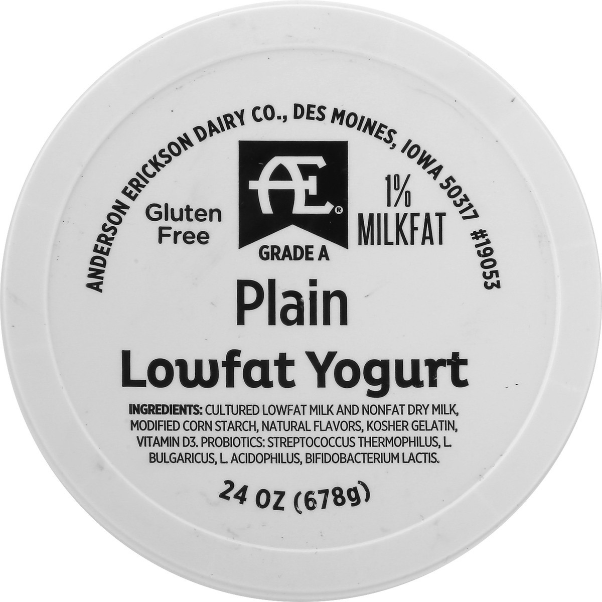 slide 3 of 8, Anderson Erickson Dairy Yogurt, Lowfat, Plain, 24 oz