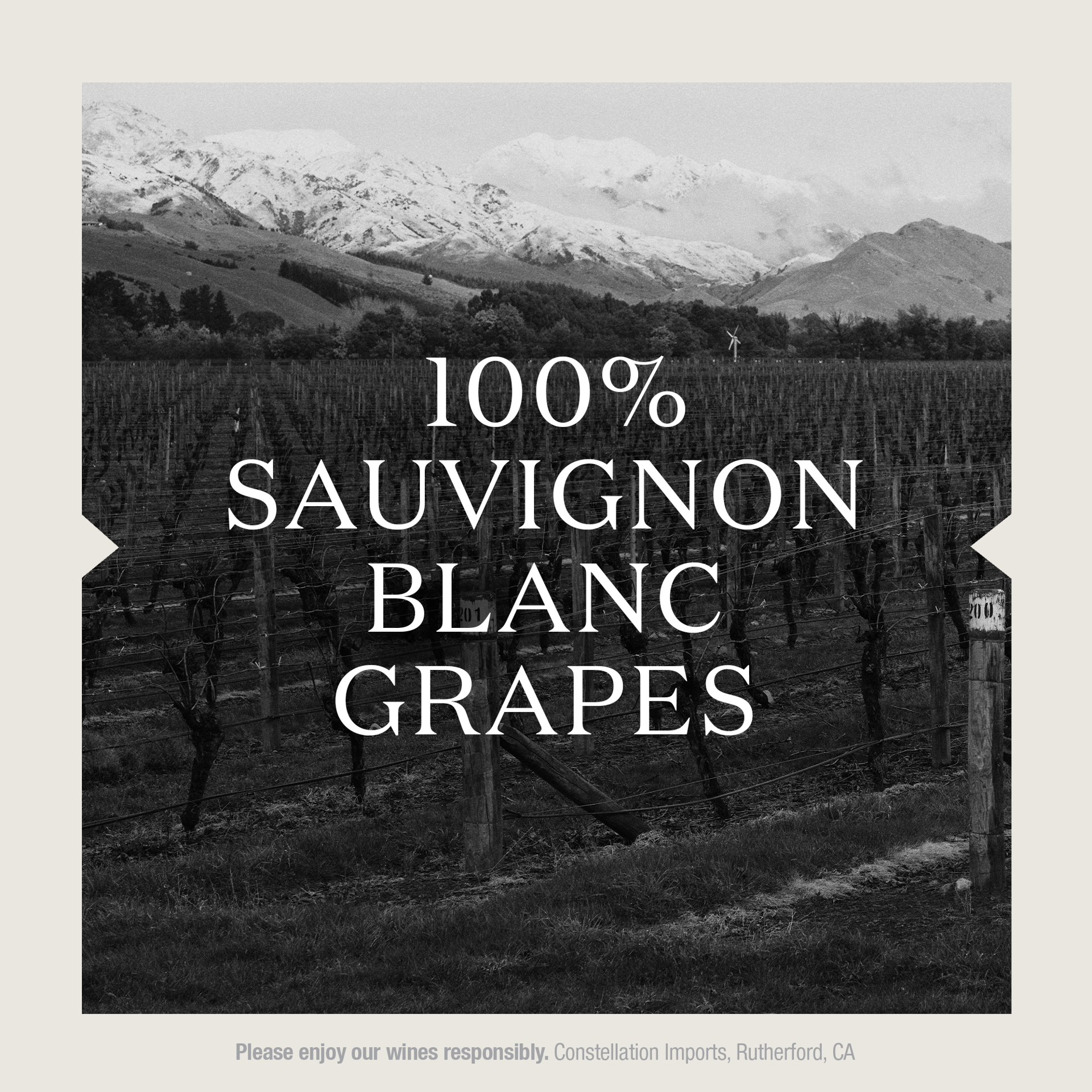 slide 9 of 10, Drylands Marlborough Sauvignon Blanc White Wine, 750 ml