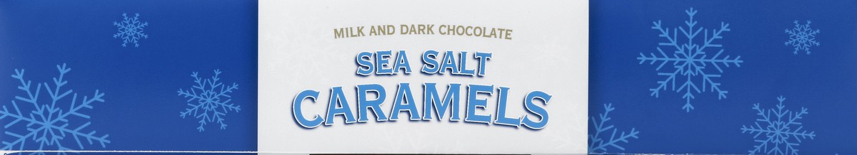 slide 2 of 4, Elmer Chocolate Milk and Dark Chocolate 9.6 oz, 9.6 oz