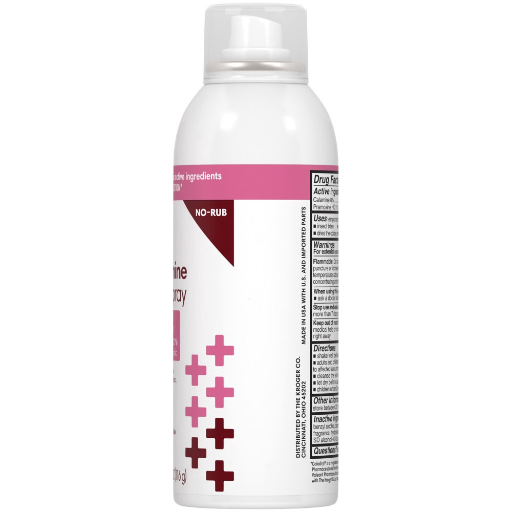 slide 2 of 3, Kroger Calamine Plus Spray, 6 fl oz