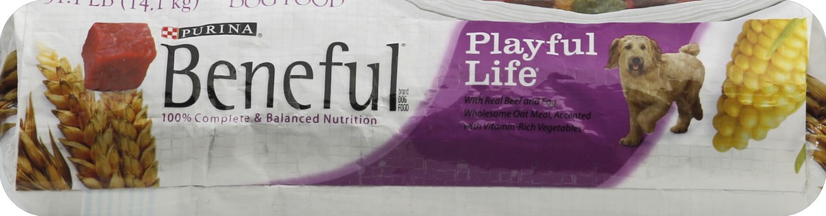 slide 4 of 6, Purina Beneful Dry Dog Food, Playful Life, with Beef & Egg, 1 ct