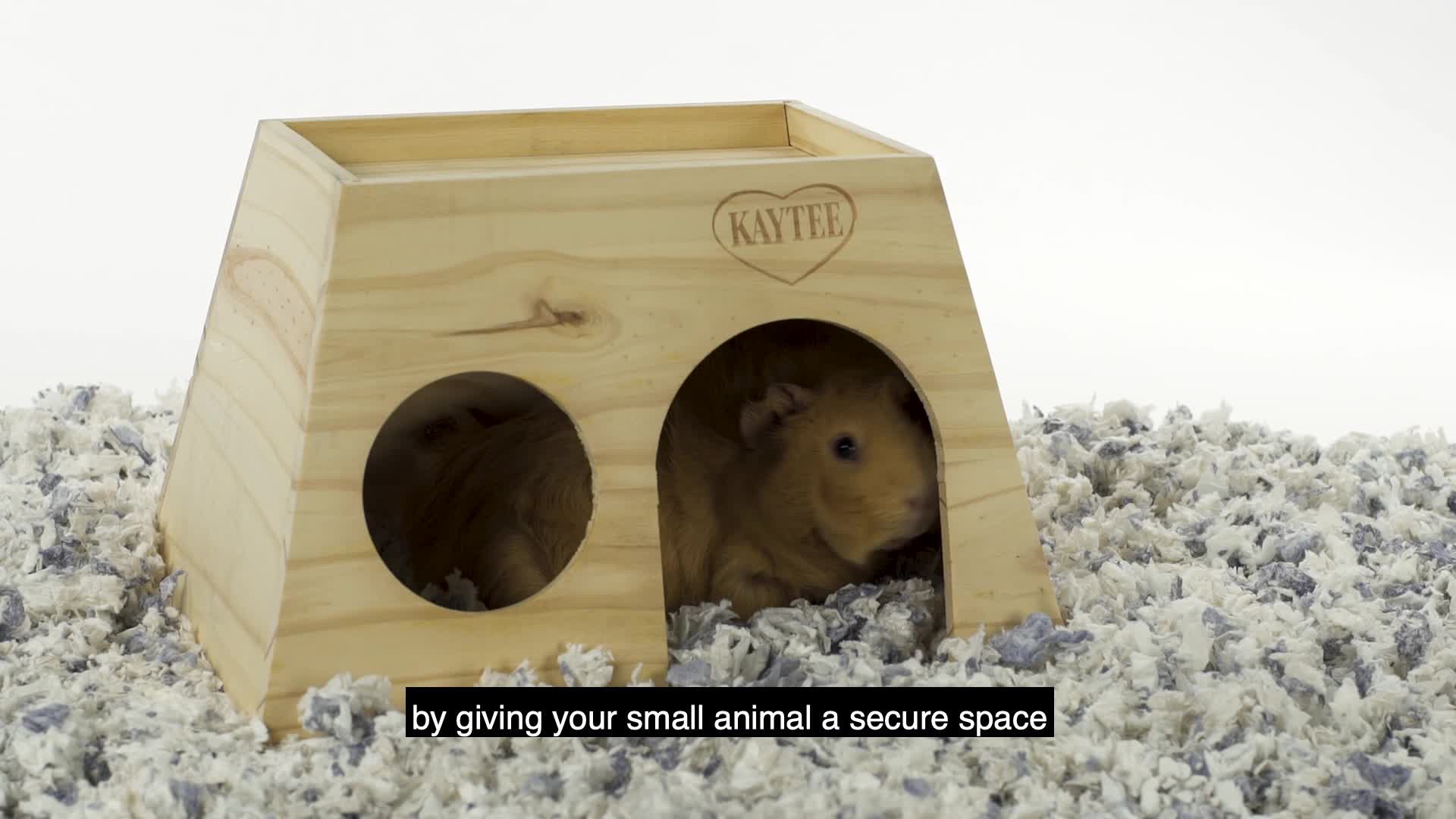 slide 10 of 10, Kaytee Hard Goods Kaytee Igloo Giant, 1 ct