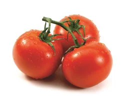 Organic Tomatoes On Vine