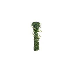 Brussel Sprout Stalks