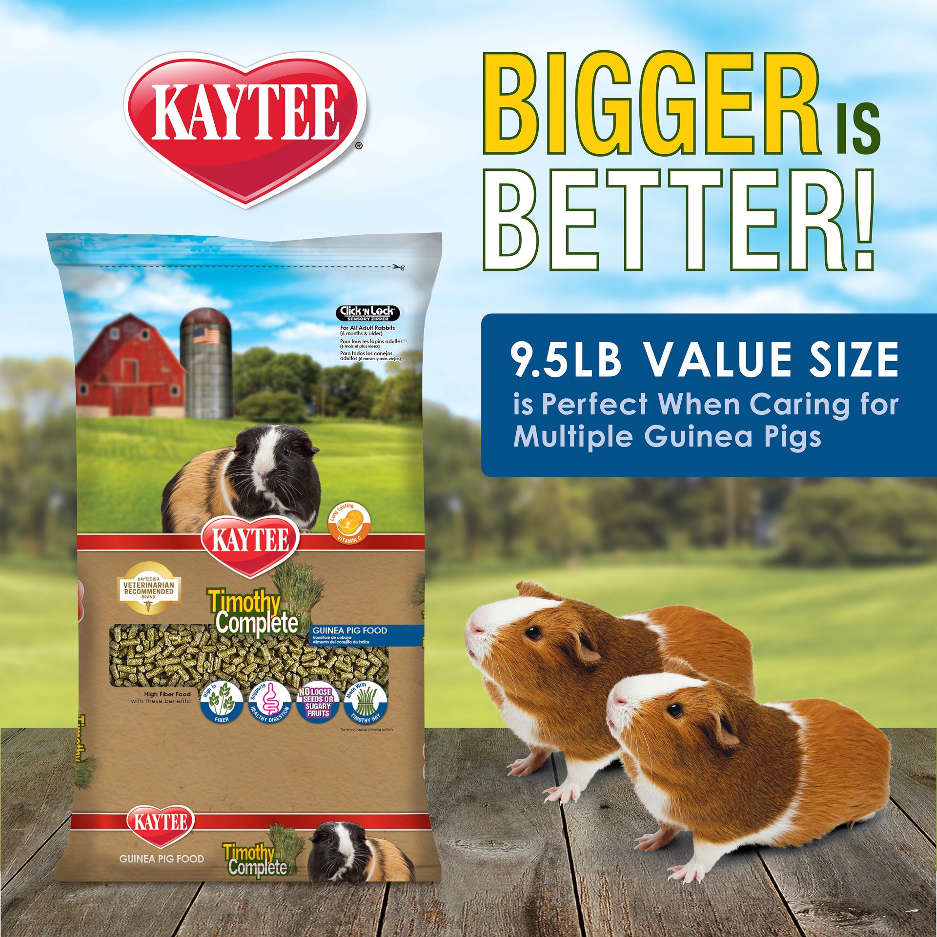 slide 2 of 9, Kaytee Timothy Complete Guinea Pig Food 9.5 Pounds, 1 ct