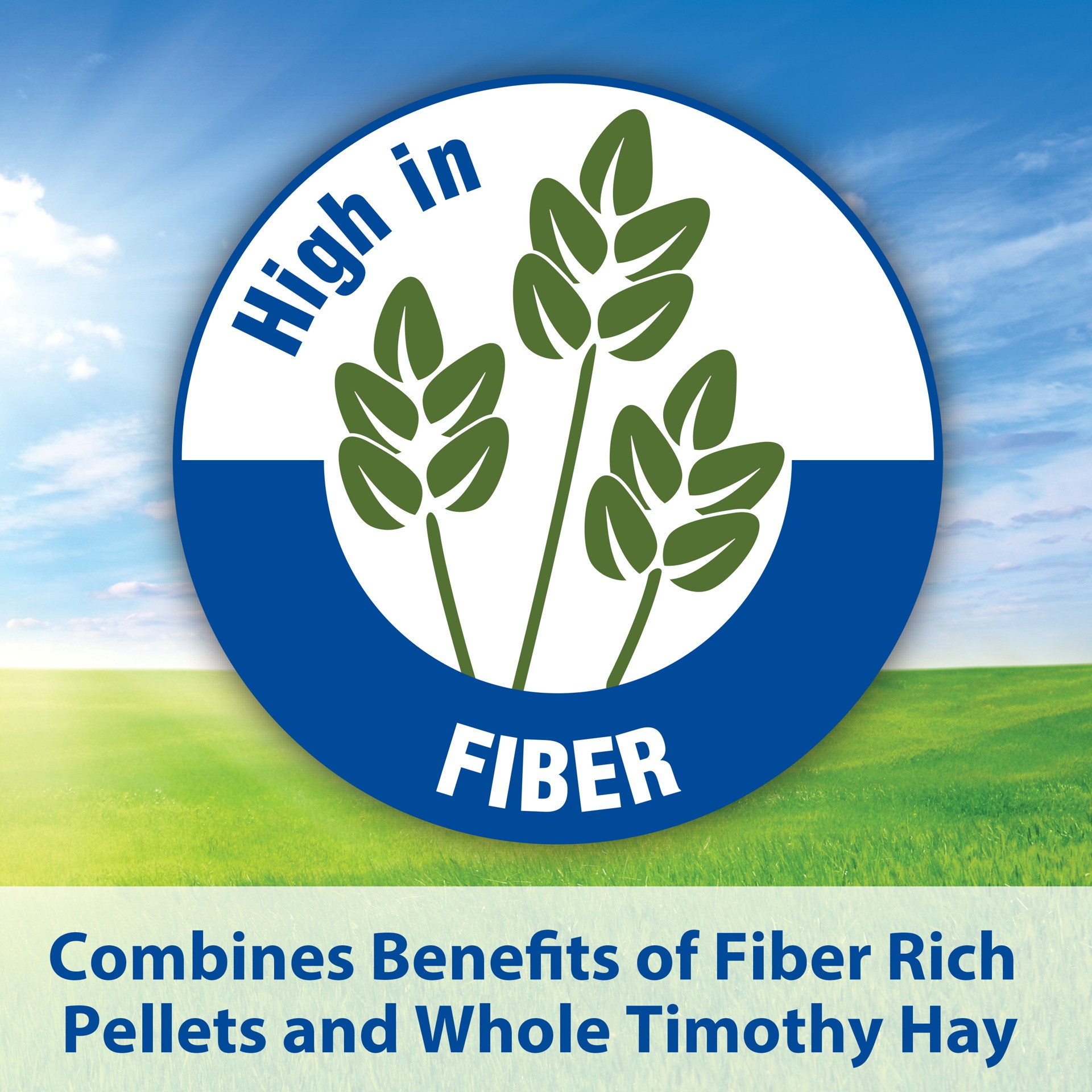 slide 6 of 9, Kaytee Timothy Complete Guinea Pig Food 9.5 Pounds, 1 ct