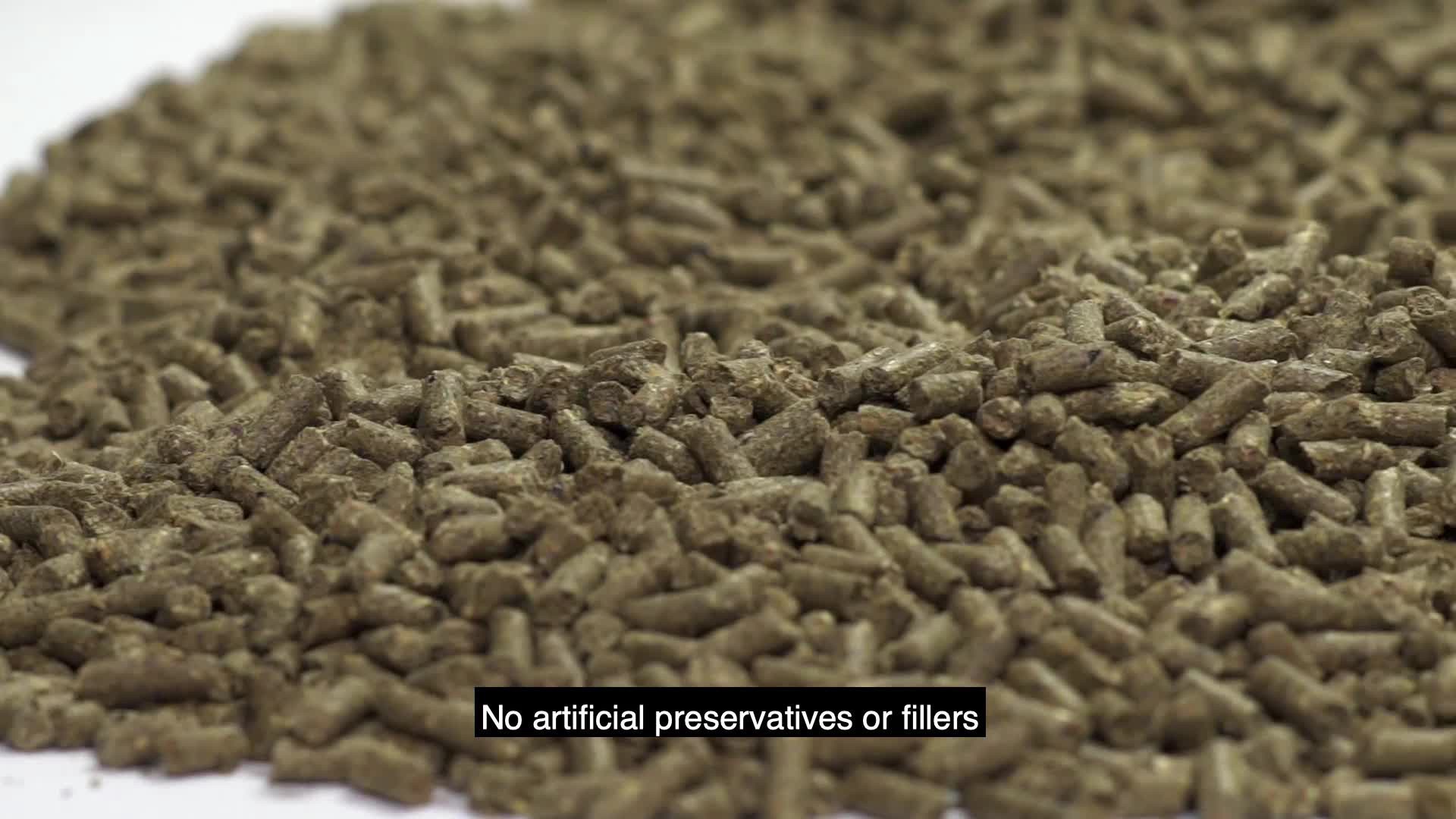 slide 5 of 9, Kaytee Timothy Complete Guinea Pig Food 9.5 Pounds, 1 ct