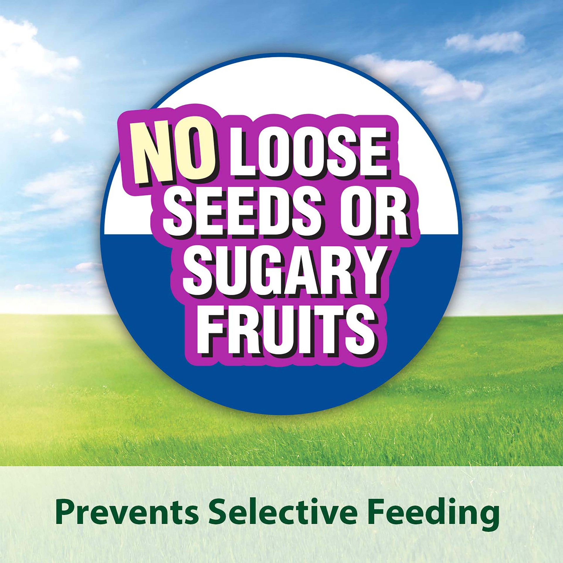 slide 8 of 9, Kaytee Timothy Complete Guinea Pig Food 9.5 Pounds, 1 ct