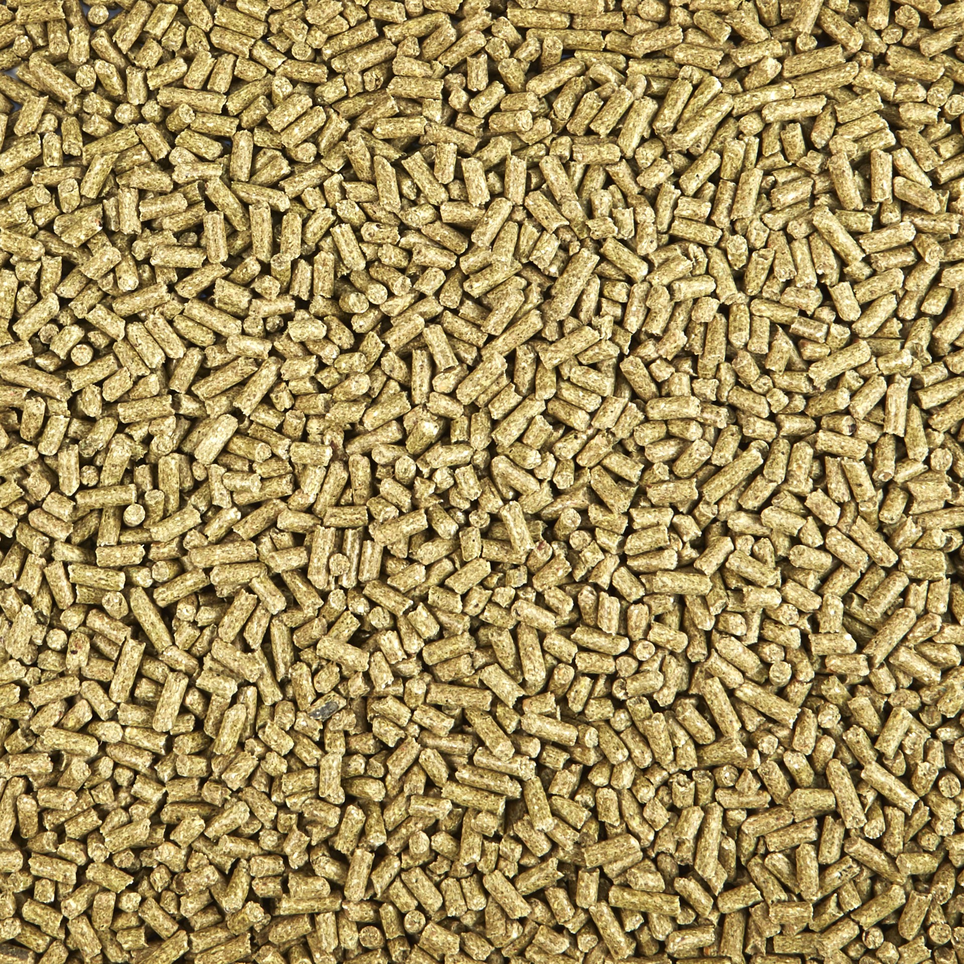 slide 3 of 9, Kaytee Timothy Complete Guinea Pig Food 9.5 Pounds, 1 ct