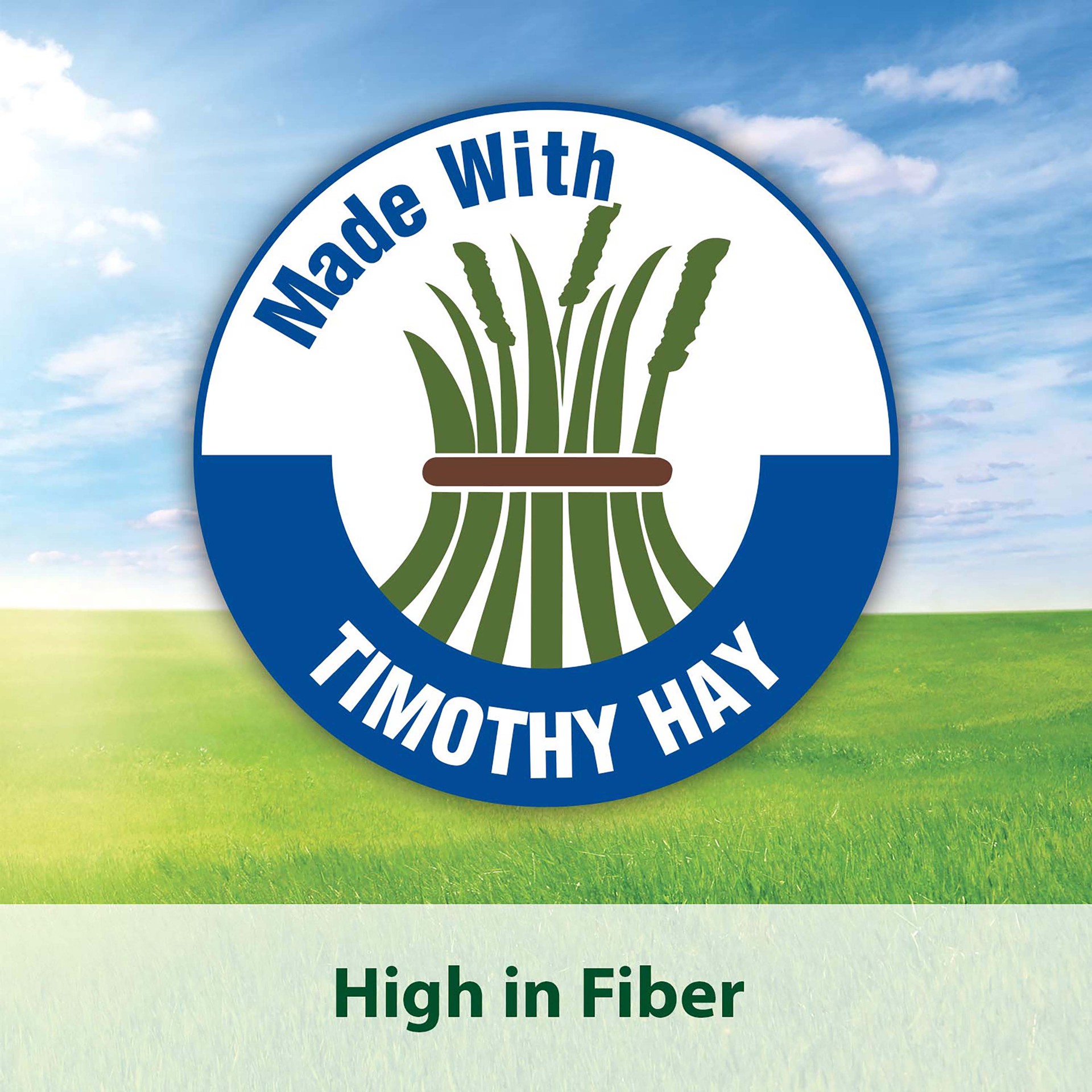 slide 9 of 9, Kaytee Timothy Complete Guinea Pig Food 9.5 Pounds, 1 ct