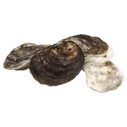 Market District Oysters, USA, Farm Raised