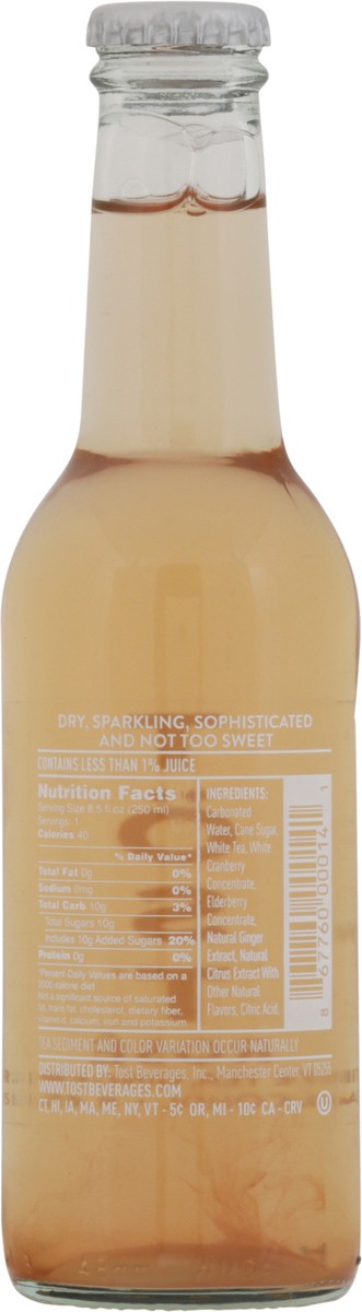 slide 8 of 13, Tost Sparkling White Ginger & Elderberry Tea - 8.45 fl oz, 250 ml