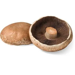 Portabella Mushrooms