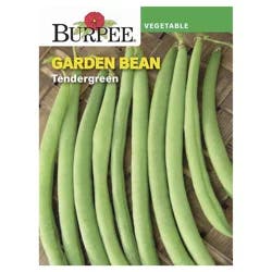 Burpee Garden Bean Tendergreen Seeds