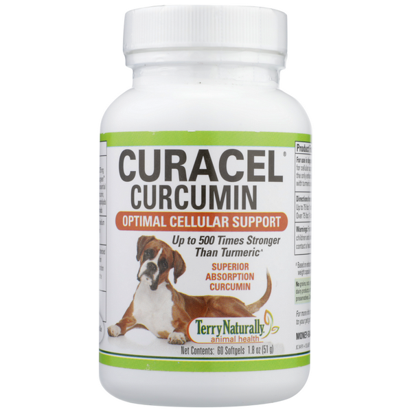 slide 1 of 1, Terry Naturally Curacel Curcumin, 60 ct
