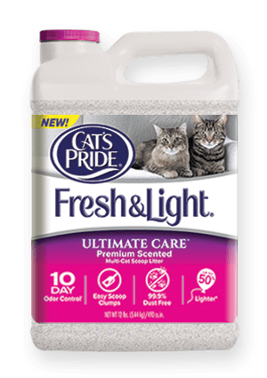 slide 1 of 1, Cat's Pride Fresh and Light Ultimate Care Scented Multi-Cat Scoop Litter, 12 lb