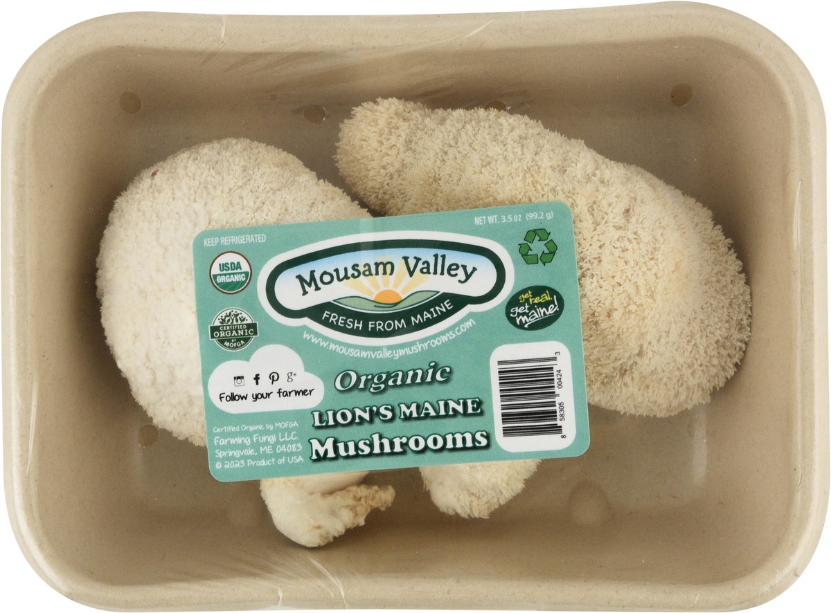 slide 4 of 12, Mousam Valley Organic Lion's Maine Mushrooms 3.5 oz, 3.5 oz