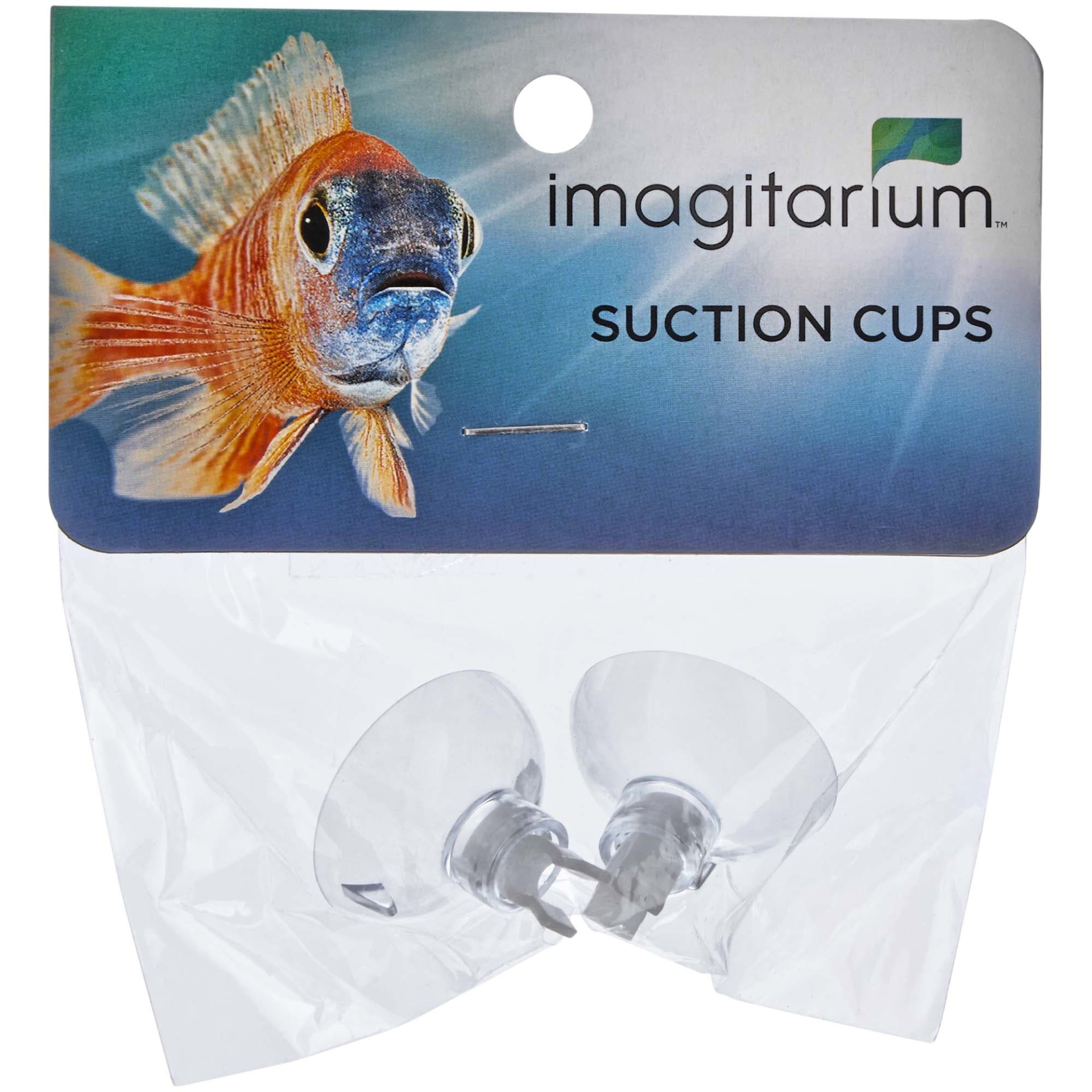 slide 1 of 1, Imagitarium White Suction Cups with Holders, 1 ct