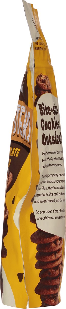 slide 13 of 13, Thinsters Chocolate Chip Cookie Thins 4 oz, 4 oz