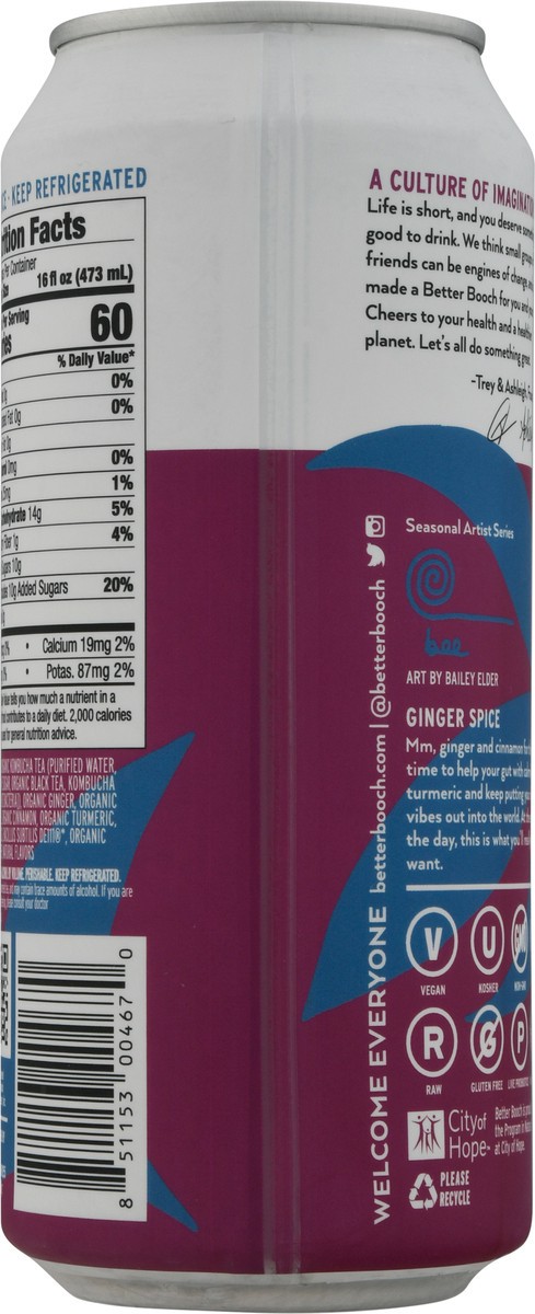 slide 5 of 9, Better Booch Premium Ginger Spice Kombucha 16 fl oz, 16 fl oz