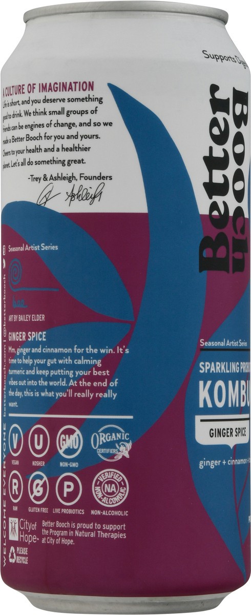 slide 7 of 9, Better Booch Premium Ginger Spice Kombucha 16 fl oz, 16 fl oz