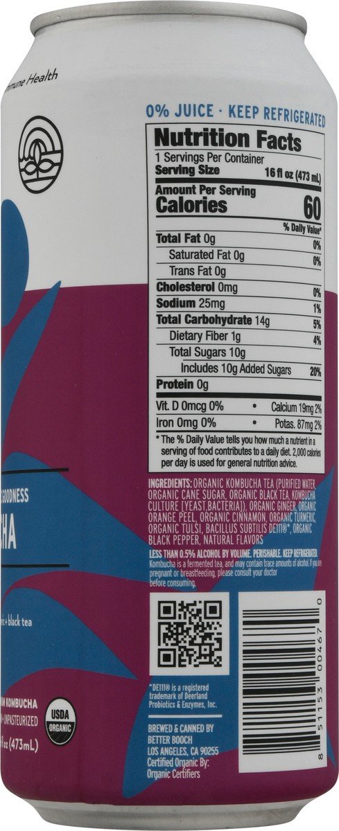 slide 8 of 9, Better Booch Premium Ginger Spice Kombucha 16 fl oz, 16 fl oz