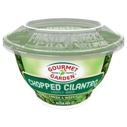 Gourmet Garden Cilantro Lightly Dried Herb, 0.35 oz