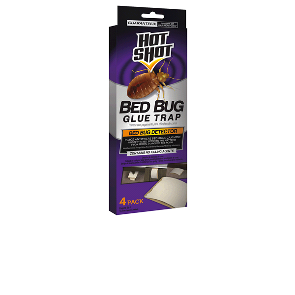 slide 1 of 1, Hot Shot Bed Bug Glue Trap, 4 ct