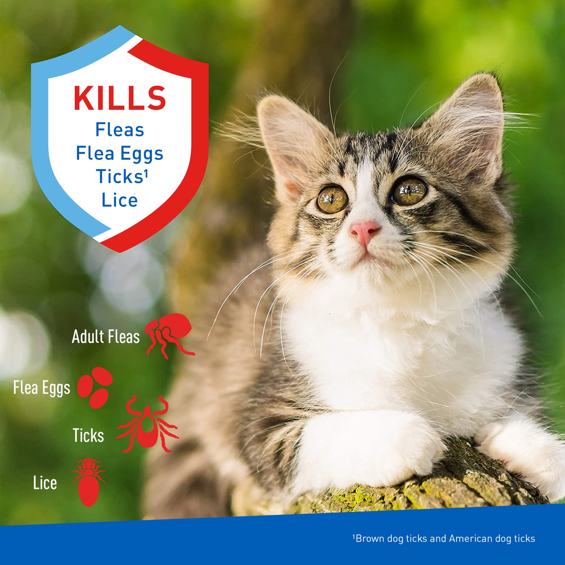 slide 6 of 9, Adams Flea & Tick Cleansing Shampoo 12 oz, 12 oz