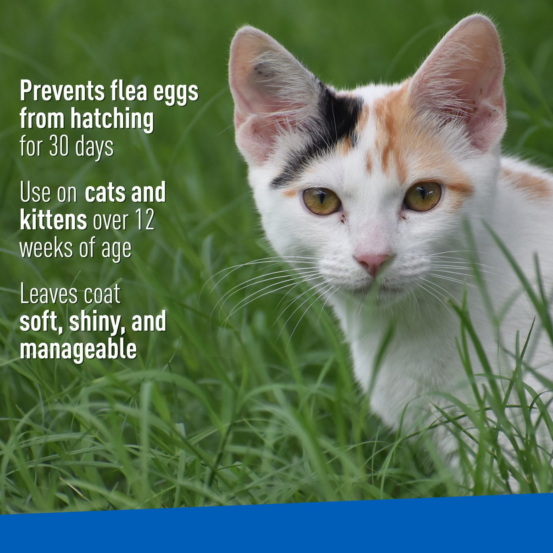 slide 9 of 9, Adams Flea & Tick Cleansing Shampoo 12 oz, 12 oz