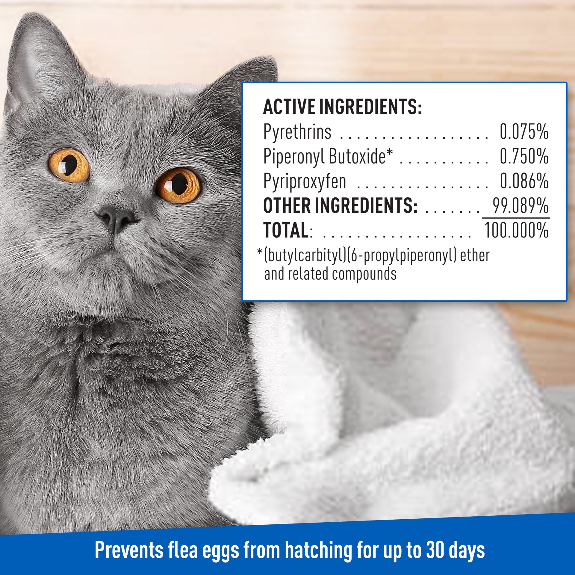 slide 2 of 9, Adams Flea & Tick Cleansing Shampoo 12 oz, 12 oz