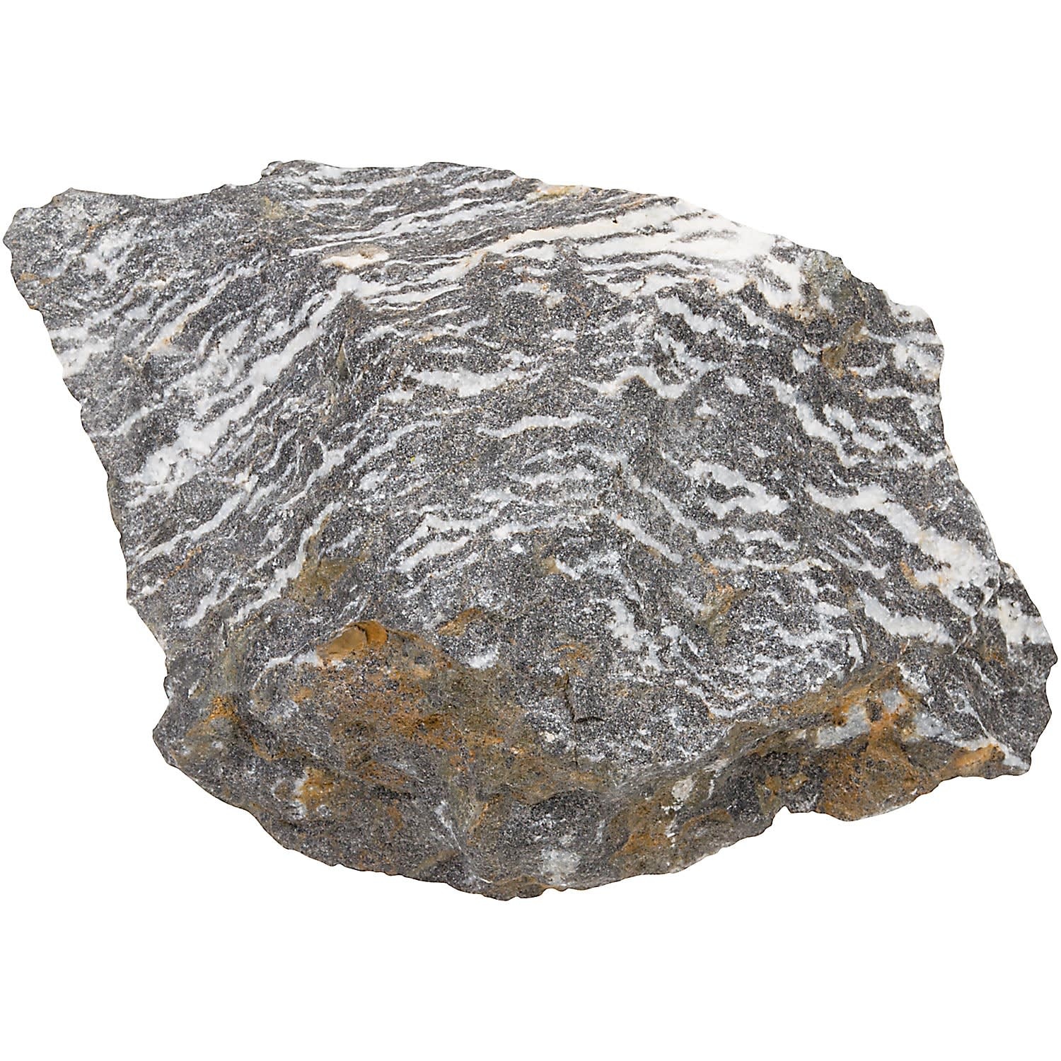 slide 1 of 1, North American Pet Zebra Rock, MED