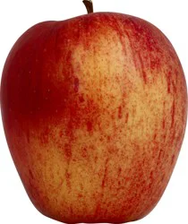 Apple - 1 ct