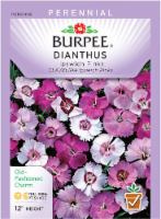 slide 1 of 1, Burpee Ipswich Pinks Dianthus Seeds, 1 ct