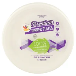 Giant Premium Compostable Dinner Plates 10.2 Inch