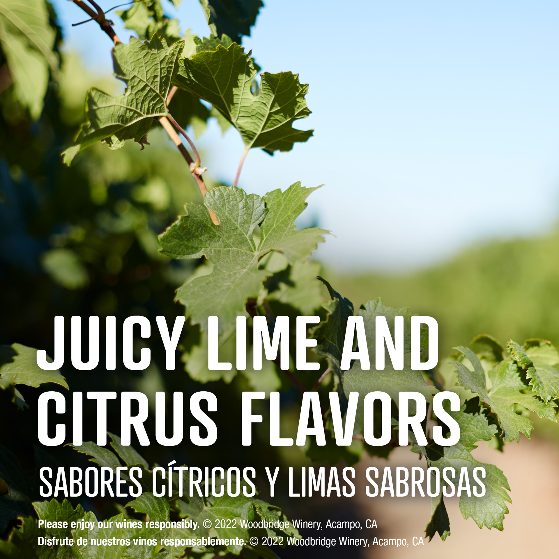 slide 8 of 10, Woodbridge by Robert Mondavi Pinot Grigio White Wine, 187ml Can, 6.32 fl oz